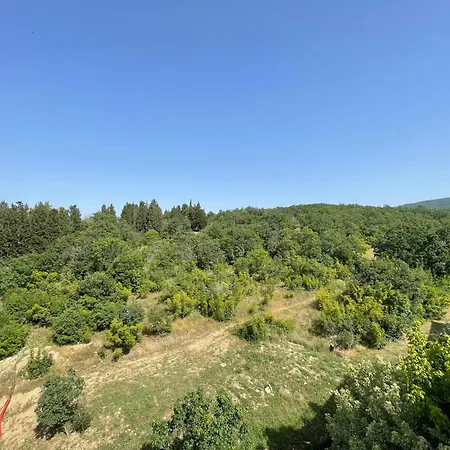 - Prestige Sea Viev * Słoneczny Brzeg